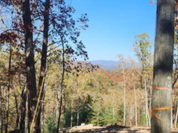 977 Raccoon Rdg NE #977, Ranger, GA 30734