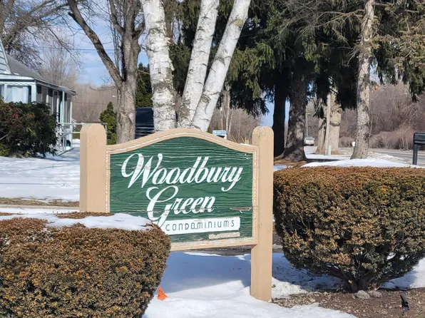 41276 N Woodbury Green Dr, Belleville, MI 48111