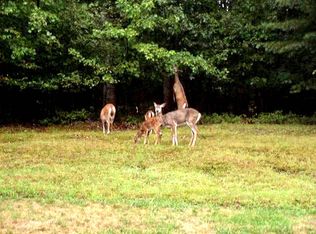 24 Dry Brook Rd, Barryville, NY 12719