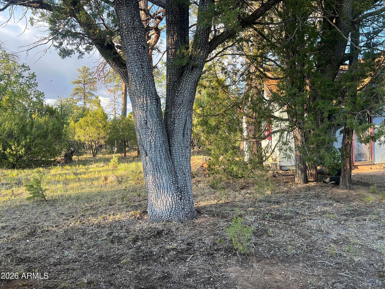 1270 GREEN RIDGE Drive, Happy Jack, AZ 86024 | Zillow