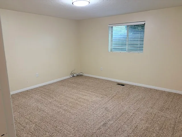 10185 S Chattel Cir — Photo 18