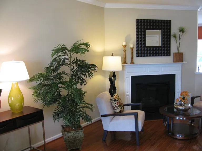 304 Wilkinson Dr — Photo 6