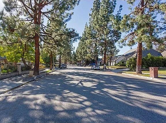 Tree-lined street where the house is located