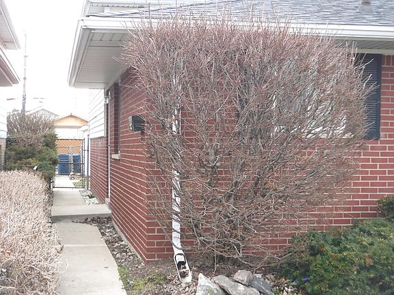 4th image of 428 Buffalo Ave