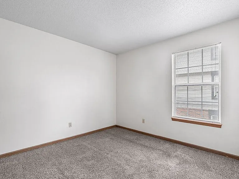 Window Coverings