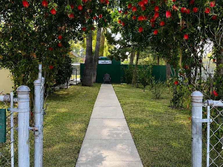 Reedy Ave — Photo 17