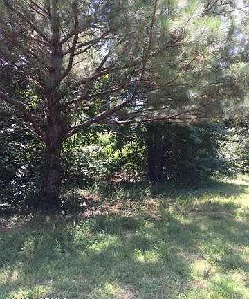 5th image of Lot #49,85 East Waterway Dr.