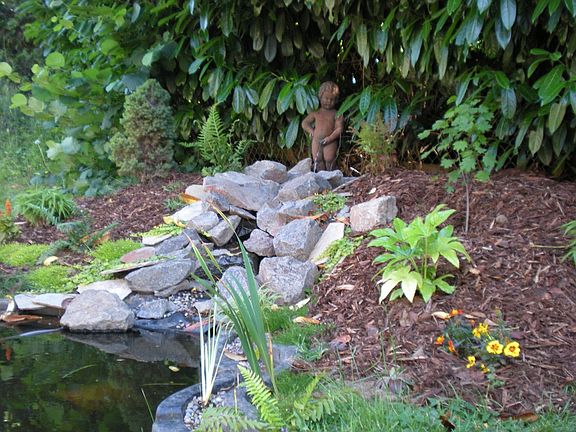 Pond in progress 2008