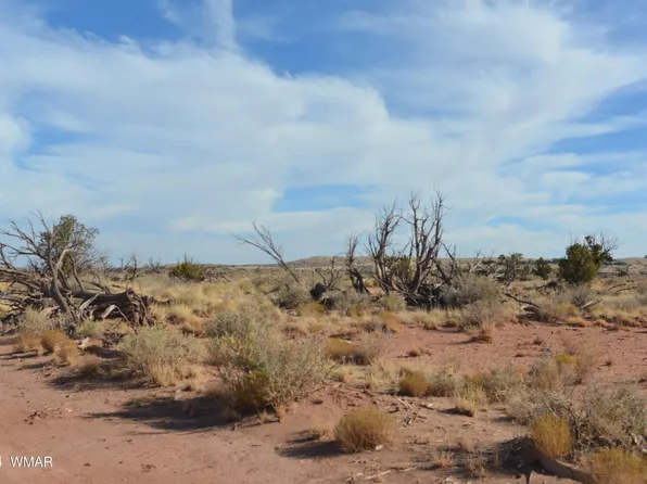 8272 Charolais Trl, Snowflake, AZ 85937