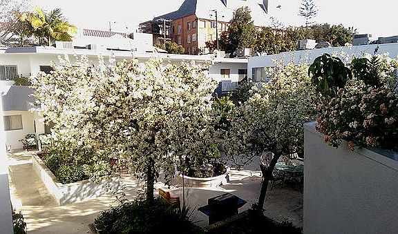 3rd image of 1260 Havenhurst Dr APT 211