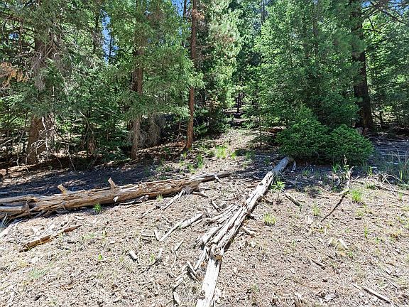 2nd image of 121 Young Canyon Rd