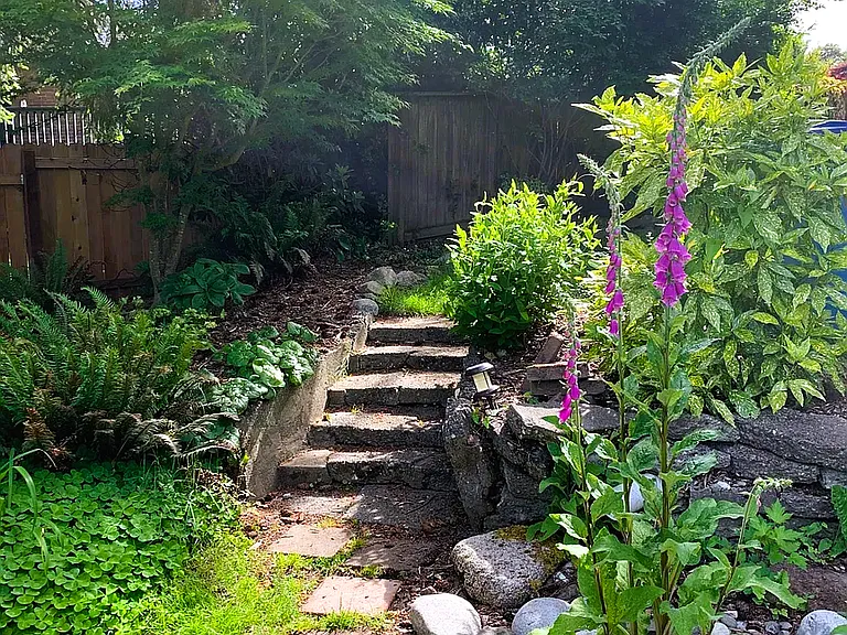 Walkway and steps into the back yard