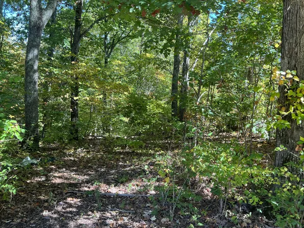 214 Old Sams Creek Rd Lot 214, Pegram, TN 37143