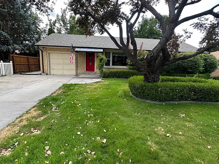 Front Yard