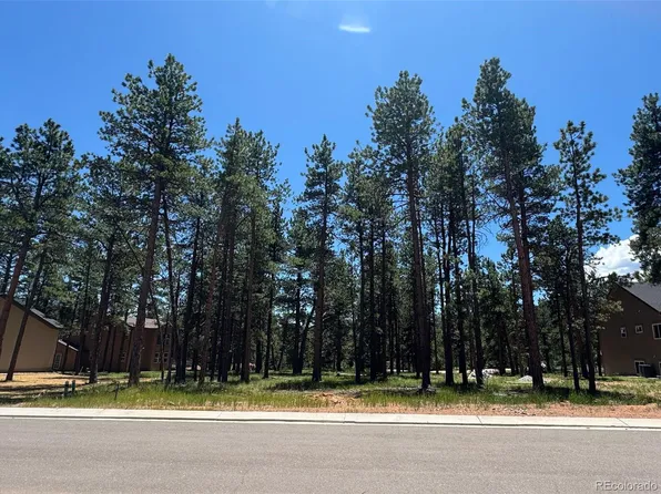 1287 Firestone Drive LOT L17, Woodland Park, CO 80863