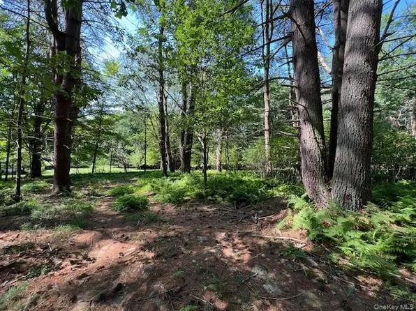 Lot 47.3 High Road, Glen Spey, NY 12737
