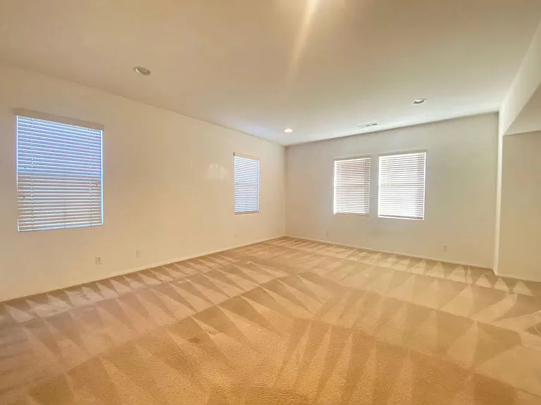 10371 Bold Red Dr — Photo 19