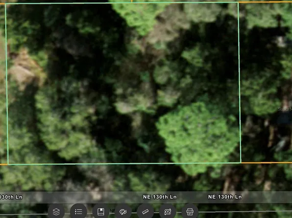 NE 130th Ln Lot 44, Fort Mc Coy, FL 32134