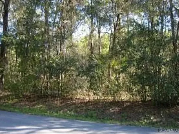 913 N Rooks Ave, Inverness, FL 34453