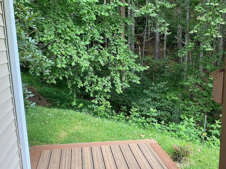 210 Triple Fork Rd — Photo 11