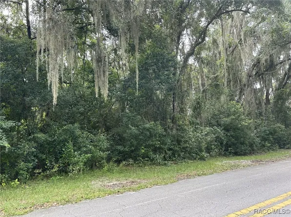 6285 N Shorewood Dr, Hernando, FL 34442