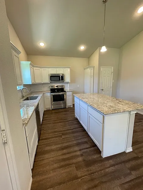 Building Photo - 1010 Chesnut Ln