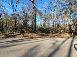 3 Sherwood Dr Lot 1, Shepherd, TX 77371