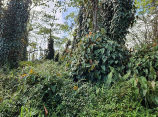 Niihau Rd LOT 189, Pahoa, HI 96778