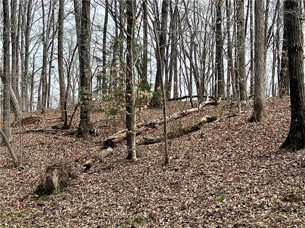 1648 & 1649 Point Rd, Westminster, SC 29693