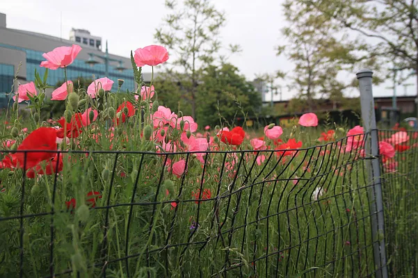 Rented by The James Ruff Group, LLC | media 25