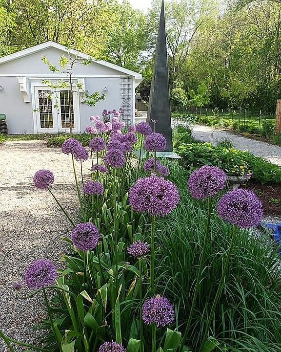 Studio garden 