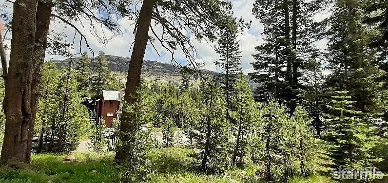 1st image of 33839 Hawkweed Way