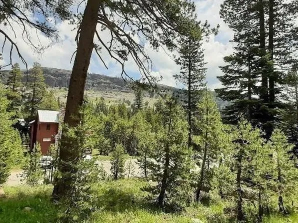 33839 Hawkweed Way, Pioneer, CA 95666