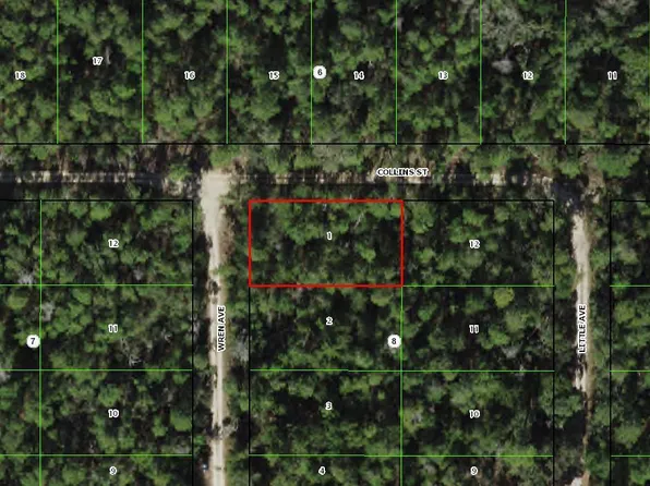 316 Wren Avenue, Inverness, FL 34452