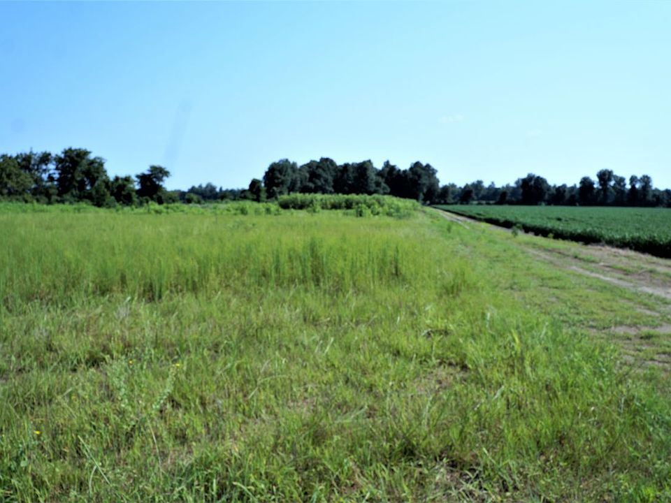 2nd image of 16826 Road 332