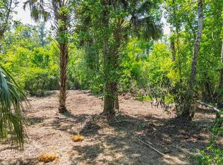 0 Muddy Water Trl Lot 280000, Thonotosassa, FL 33592