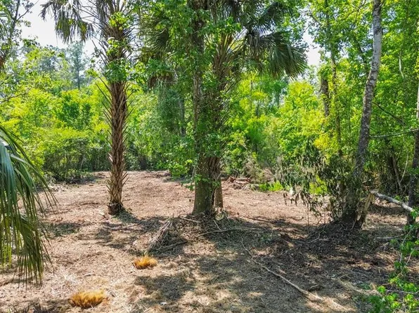 0 Muddy Water Trl Lot 280000, Thonotosassa, FL 33592