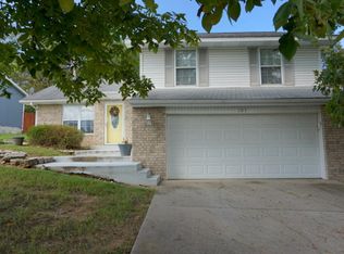 307 Spring Meadow Pkwy, Branson, MO 65616