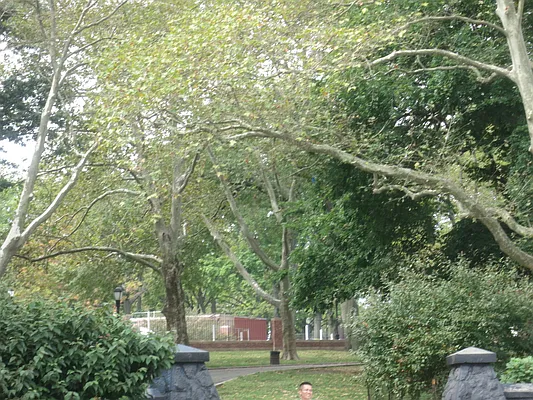 Sold by Velsor Realty | media 8