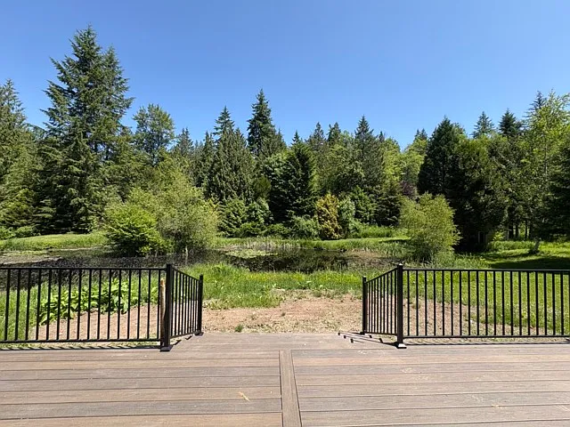 Back Deck/Pond