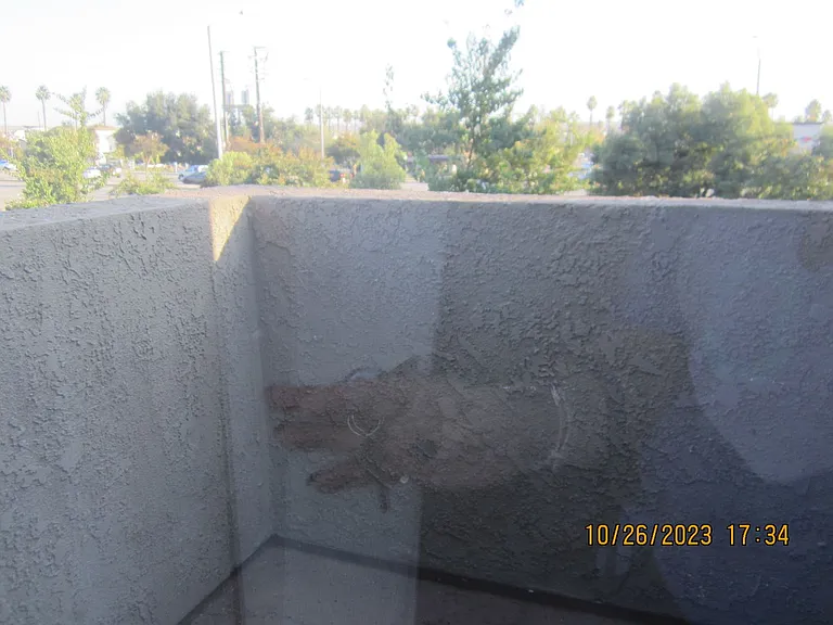200 E Alessandro Blvd #120 — Photo 12