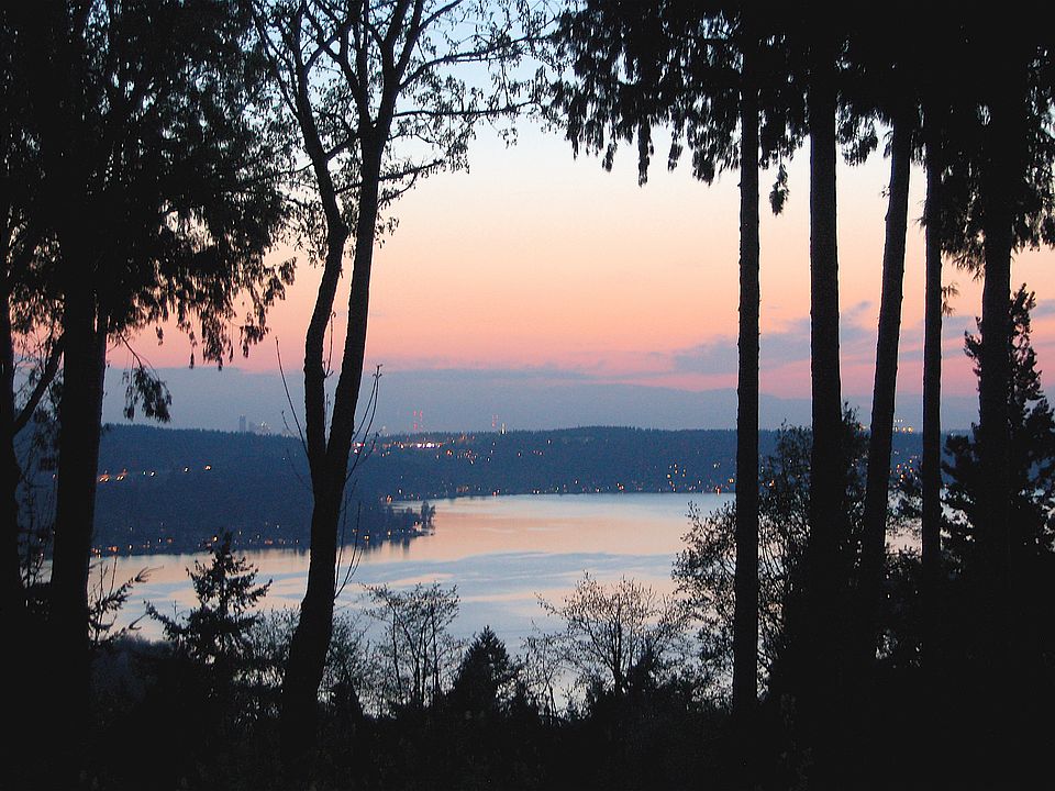 View from back deck