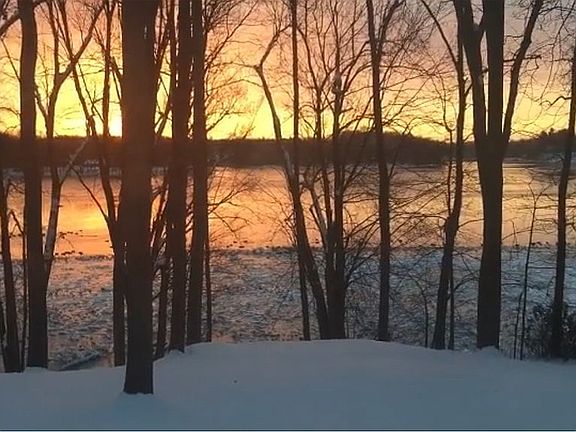 Backyard River View