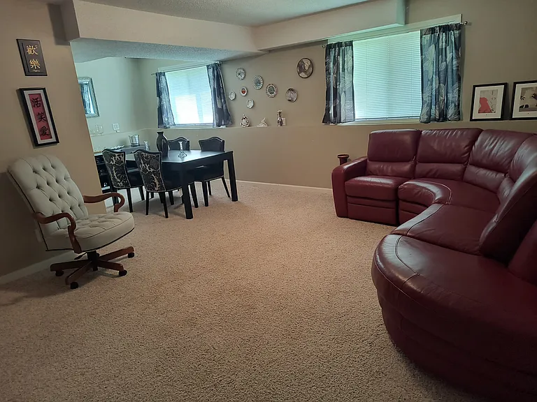 Lower level living room