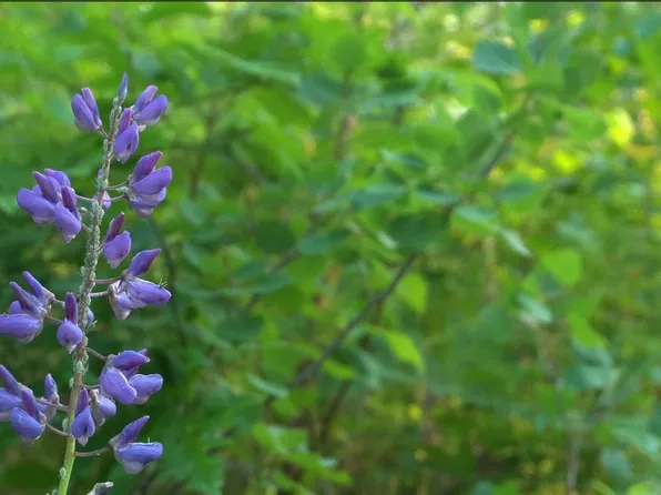 83 Ashwabay Heights Rd Lot 7, Bayfield, WI 54814