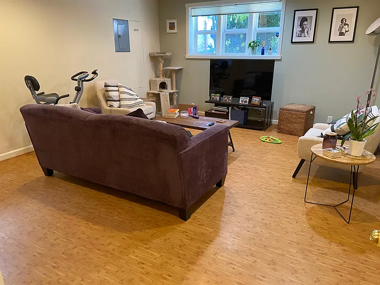 Rec Room/Office