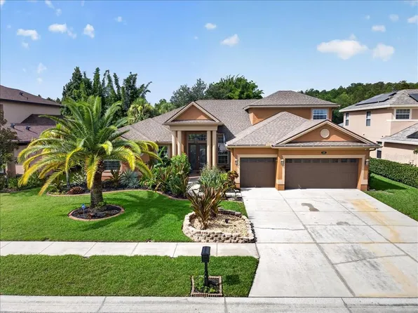 16410 IVY LAKE DRIVE, ODESSA, FL 33556