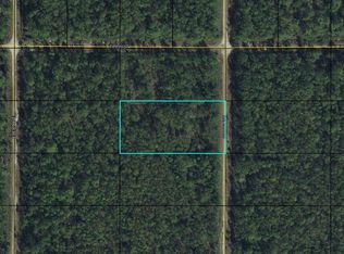 X Dillon Ave LOT 4, Hastings, FL 32145