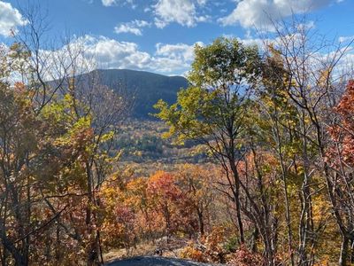 1156 Bear Mountain Road, Wallingford, VT, 05773