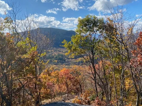 1156 Bear Mountain Road, Wallingford, VT 05773